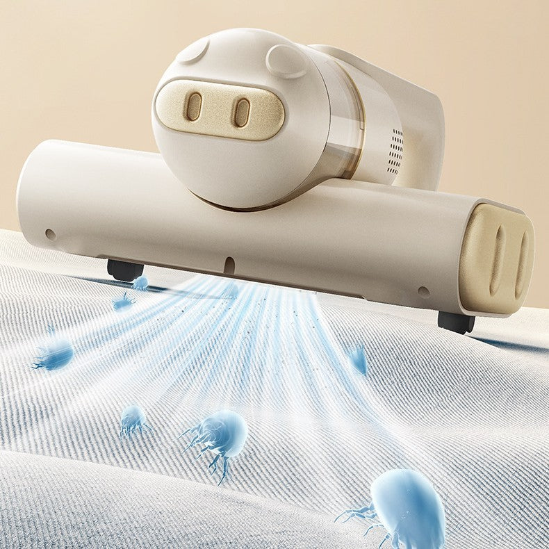 UV Sterilization Of Household Vacuum Cleaners In Bed